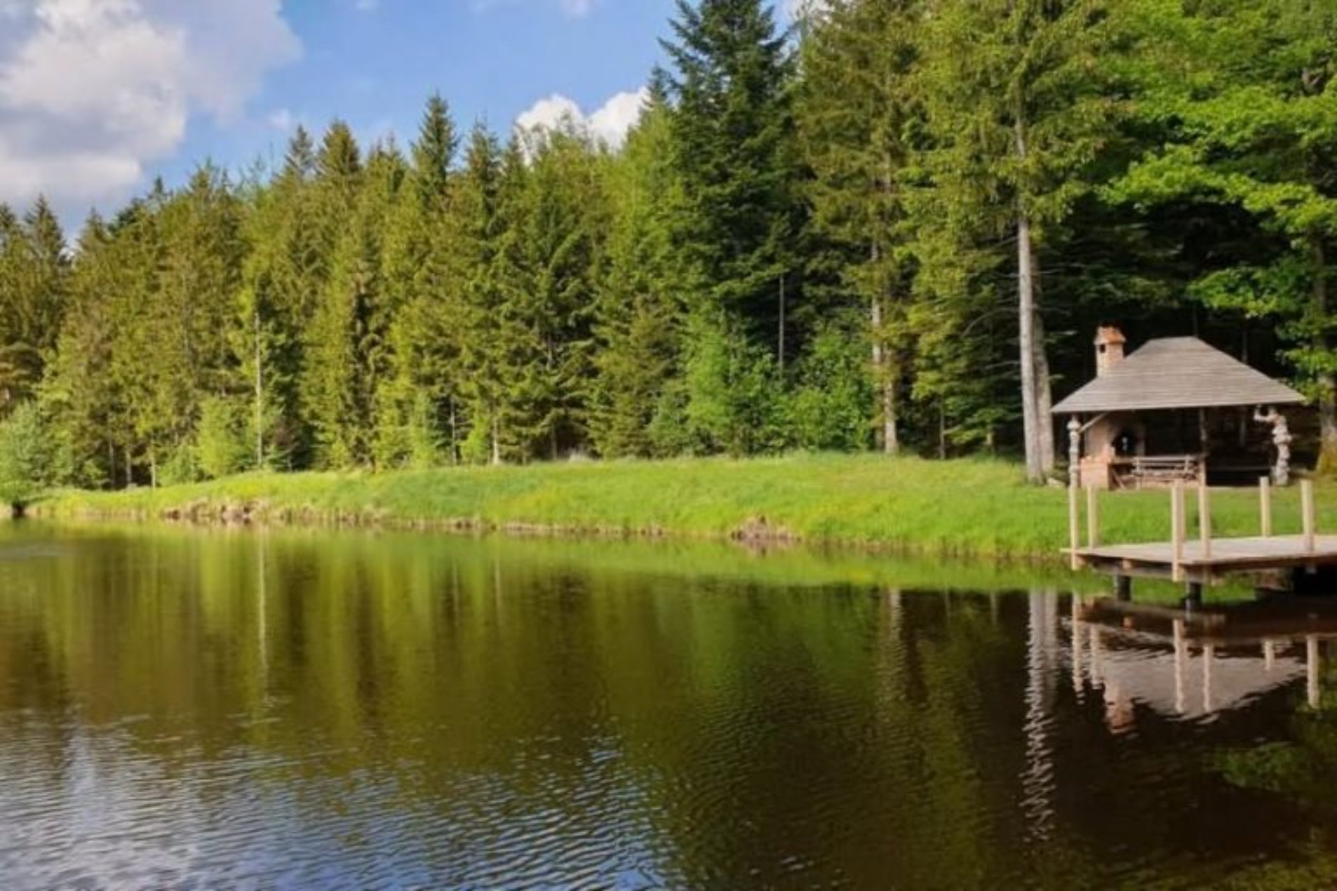 Kombi prevoz do Slovenije